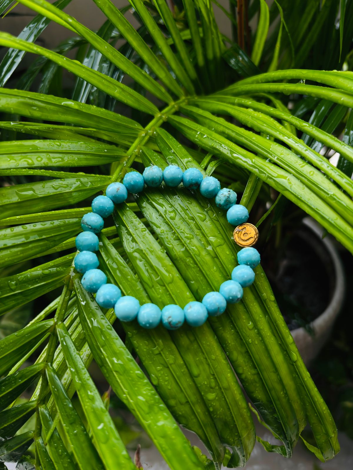 Name and Fame Bracelet