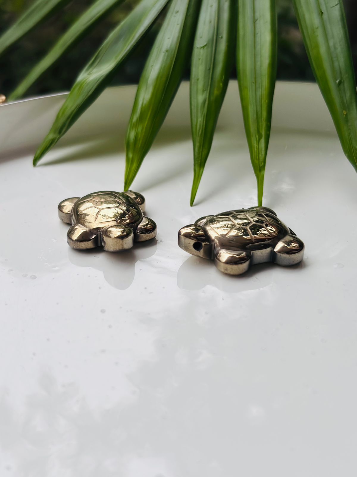 Pyrite Turtle