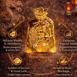 Wealth Bag