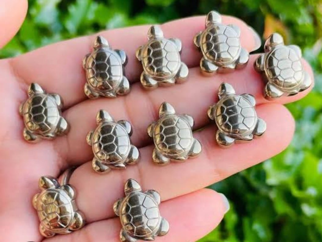 Pyrite Tortoise